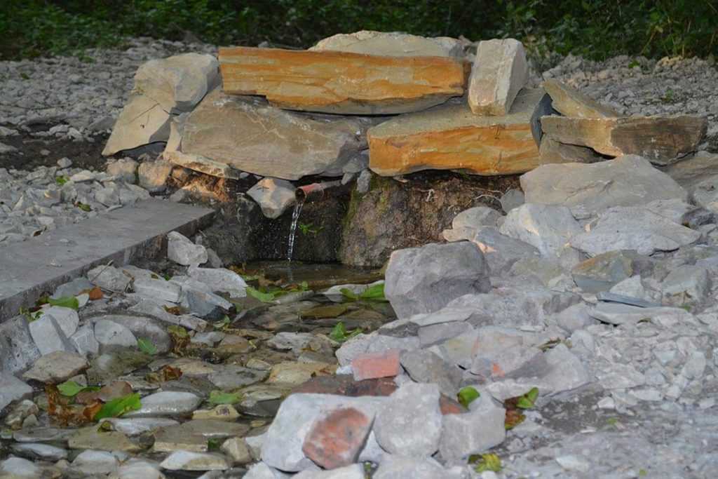 Конные прогулки в Геленджике
